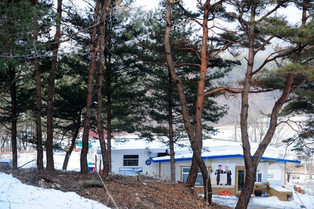디자인숲미디어 이미지