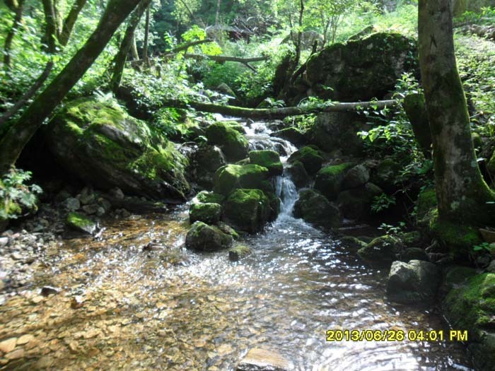 발교산산장 이미지