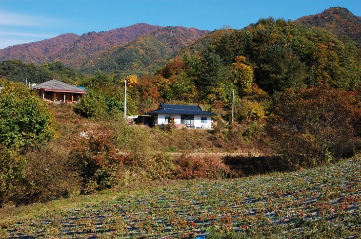 온돌방 이미지
