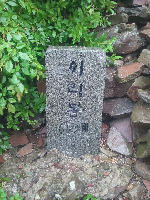 금대만 이미지
