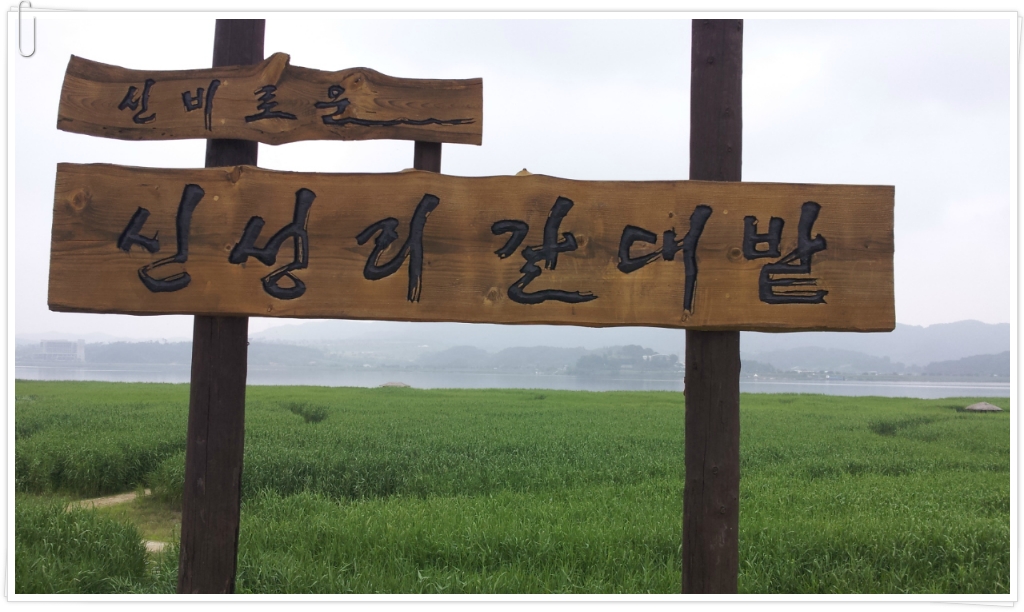 대진여행사 이미지
