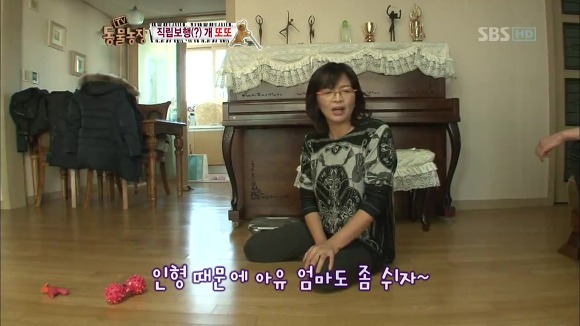 [동물농장] 지팡이 짚고 걷는 심봉사 개 또또라오 | 인스티즈