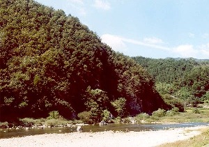 유림면 이미지