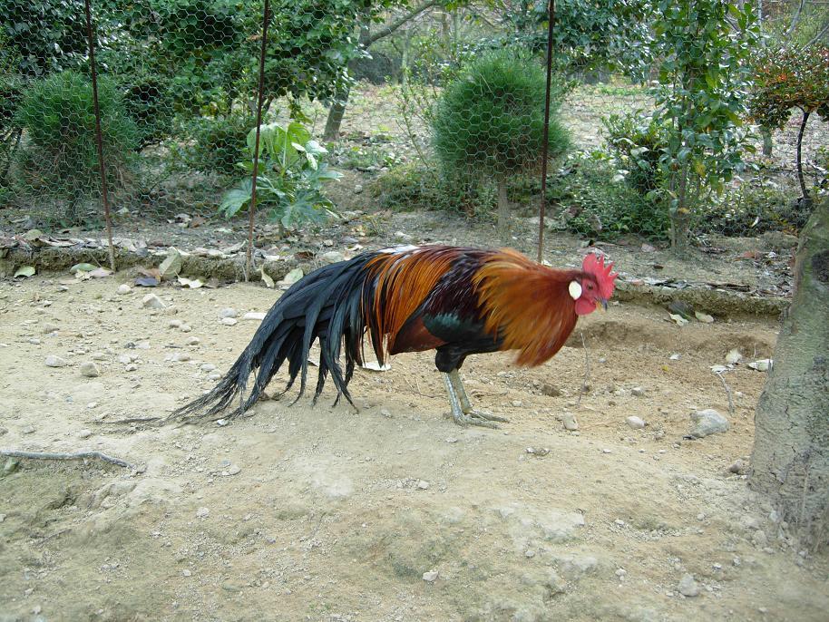 동천홍 이미지