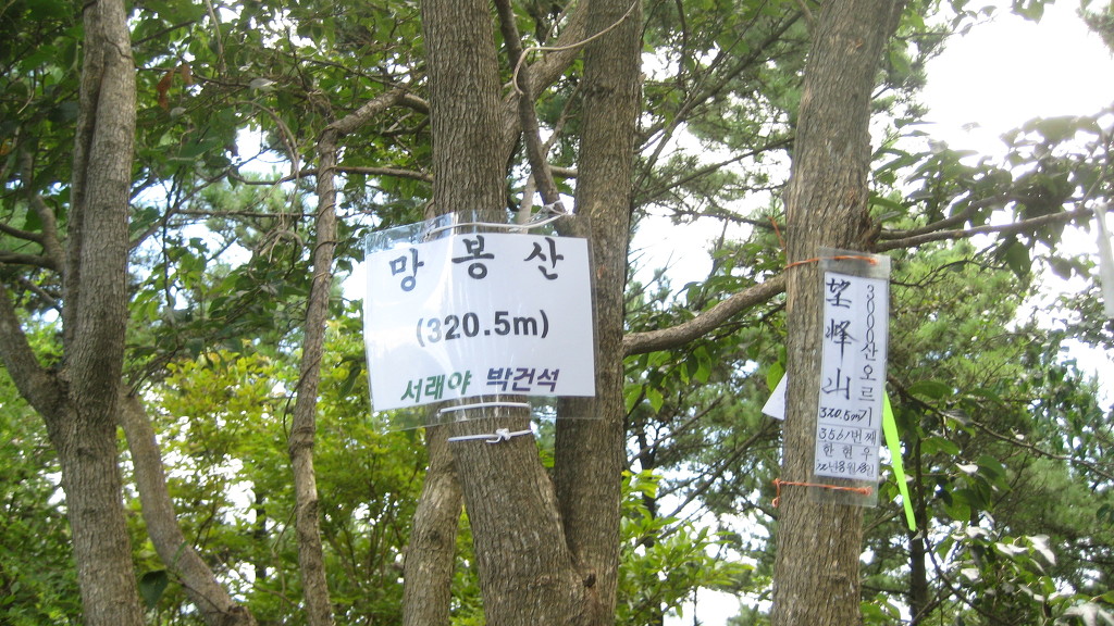 망봉 이미지