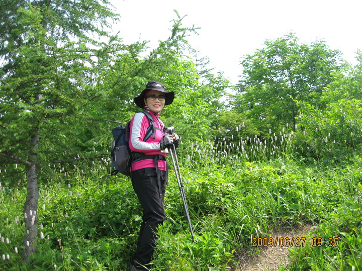 삼공주 이미지