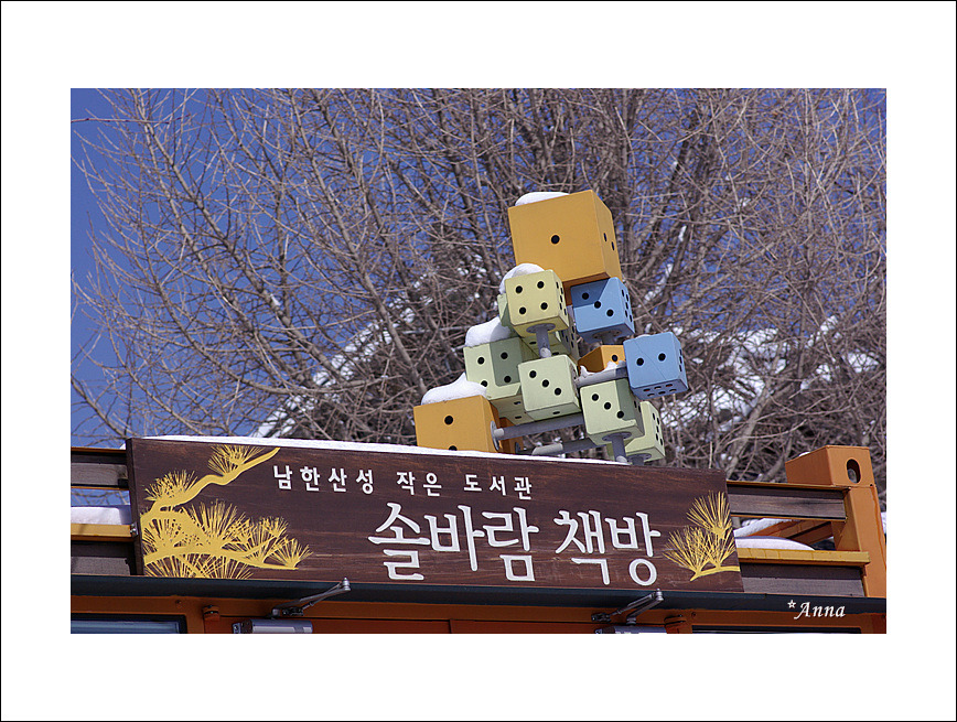 책방노루귀 이미지
