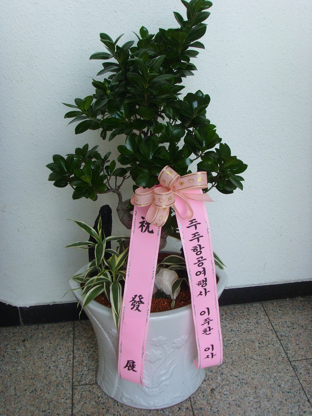 주주여행사 이미지