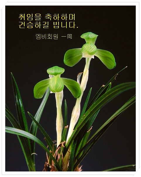 (주)벽진 이미지