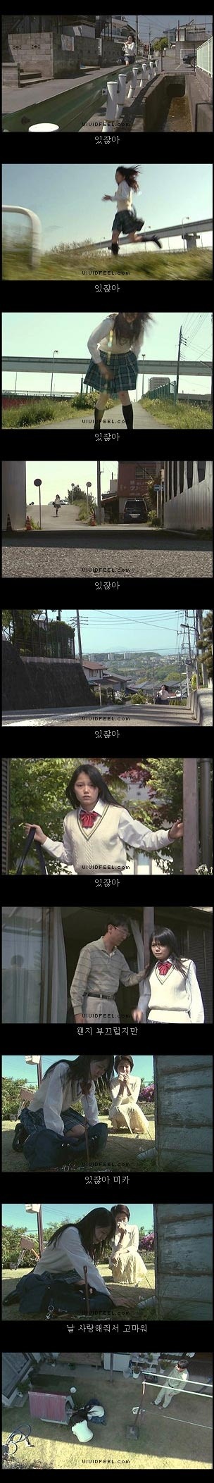 개의 일생 | 인스티즈