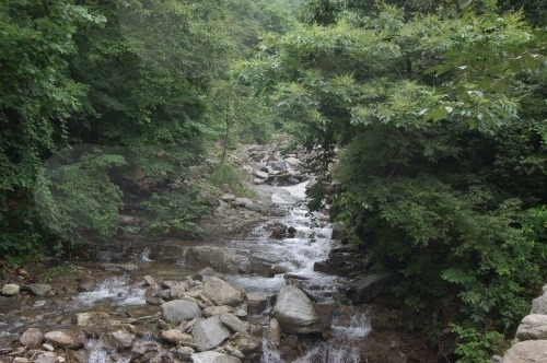가리산자연휴양림 이미지