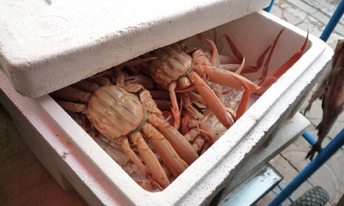 골목칼국수 이미지