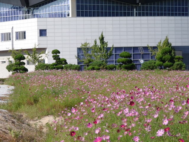 전북대학교 익산캠퍼스 이미지