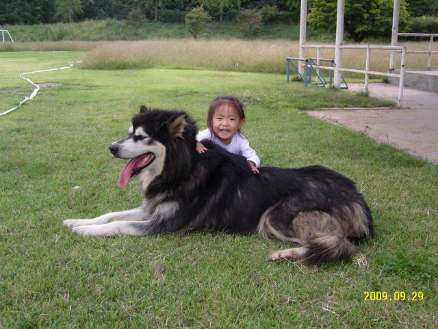 짱이 이미지