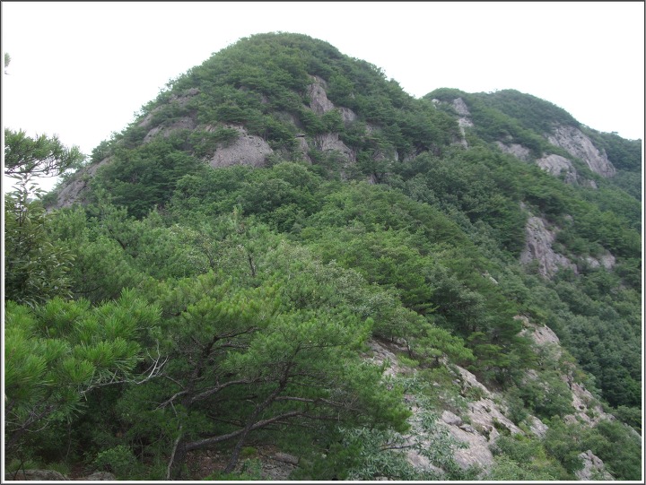 대부산 정상 이미지