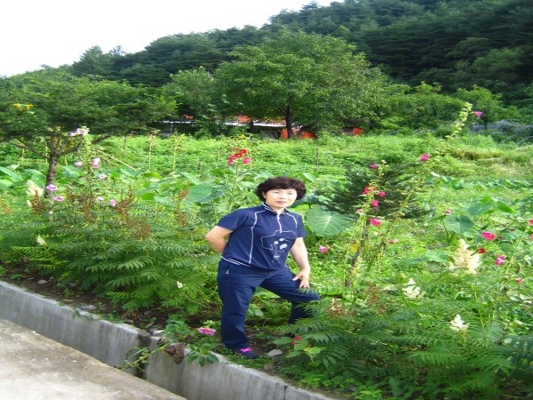 임씨네농장 이미지