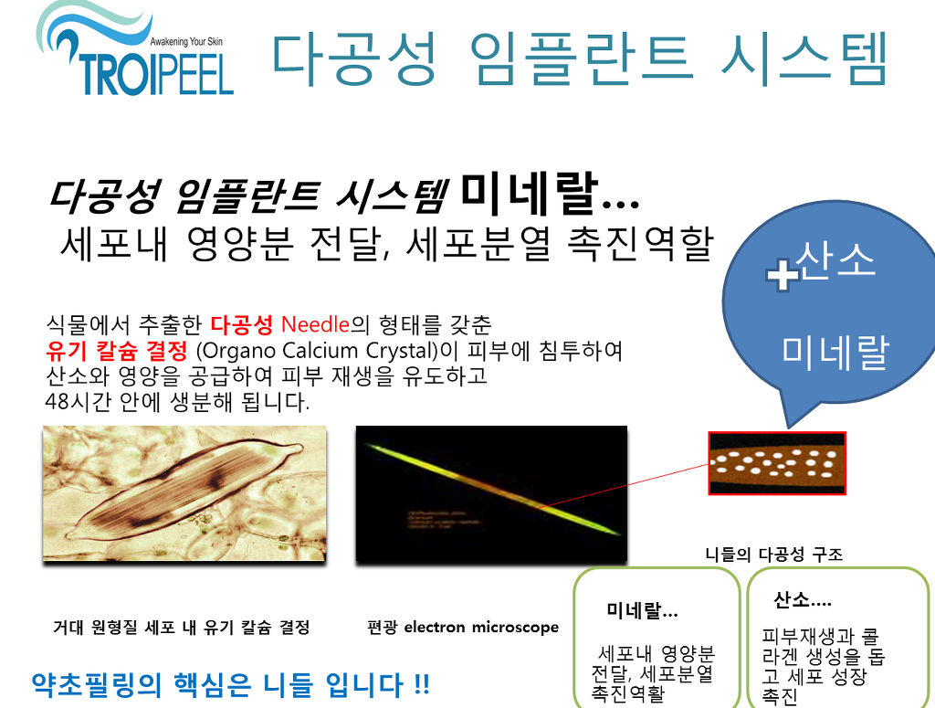 동안얼굴 명품몸매 이미지