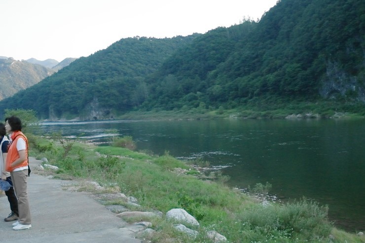 야생화숲 이미지