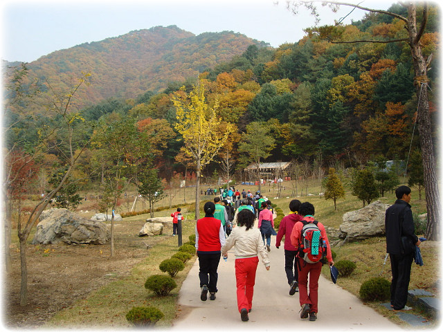 강원산소 이미지