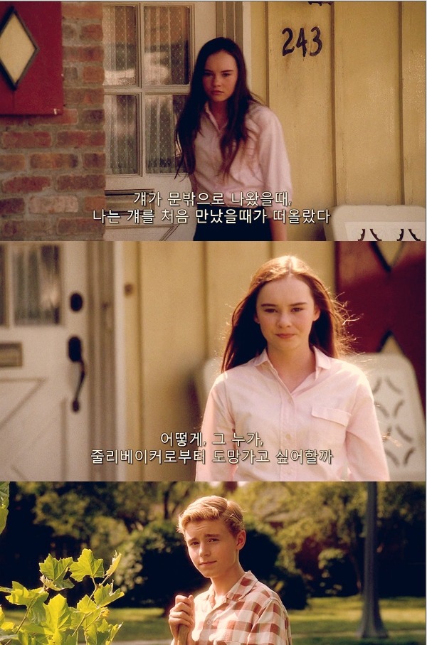 자신도 모르게 엄마미소 짓게 되는 너무나도 달콤 달달한 영화! ♡플립♡ | 인스티즈