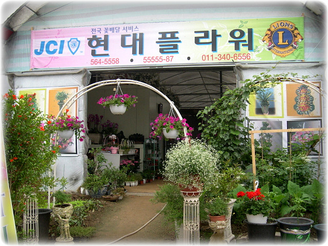 현대플라워 이미지