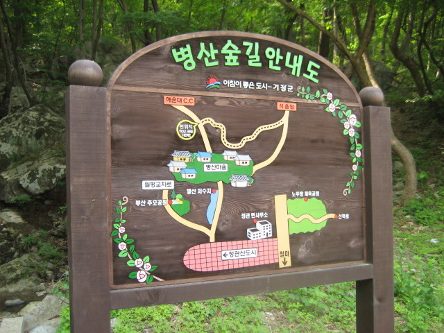 일타삼피 이미지