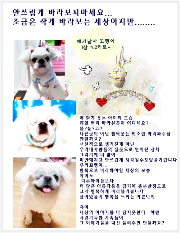 꼬맹이 이미지