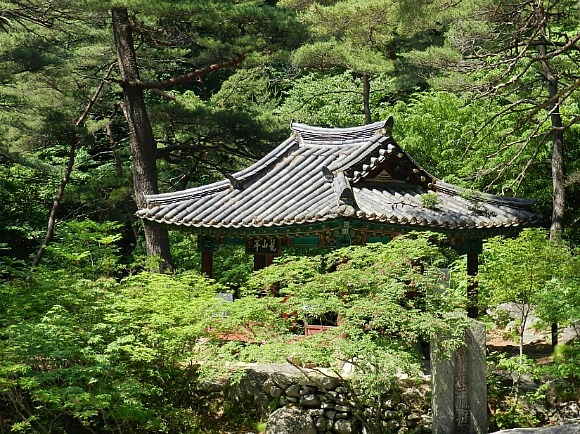 고운세상 이미지