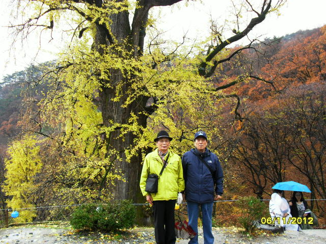 용인사 이미지