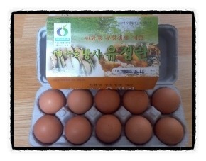 웰빙자연김밥 이미지