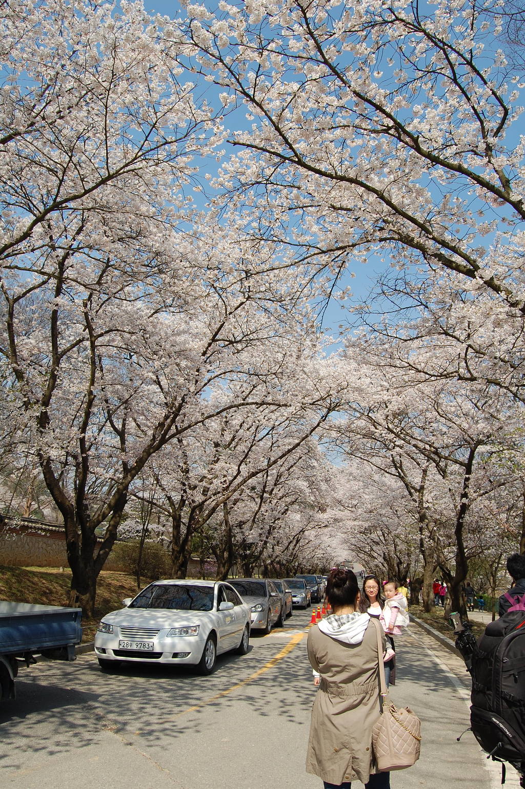 희원 이미지