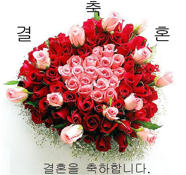 임*경 이미지