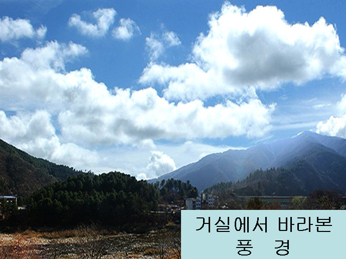 강산애 이미지