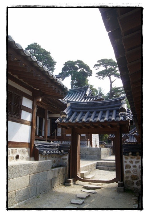 솔숲민박 이미지