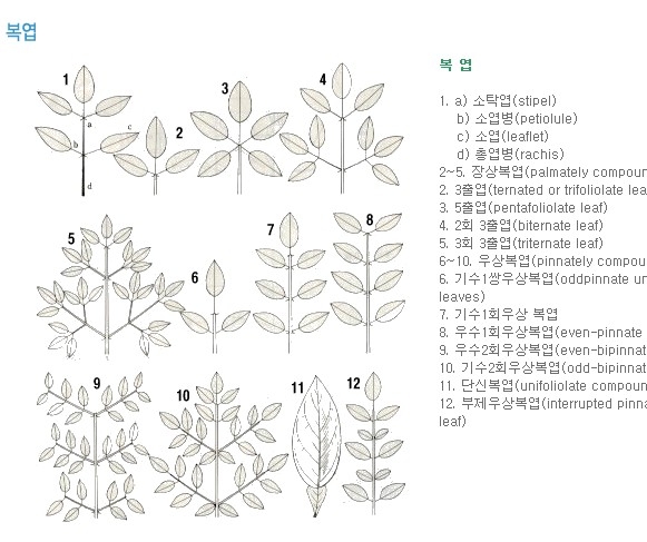 도해 이미지