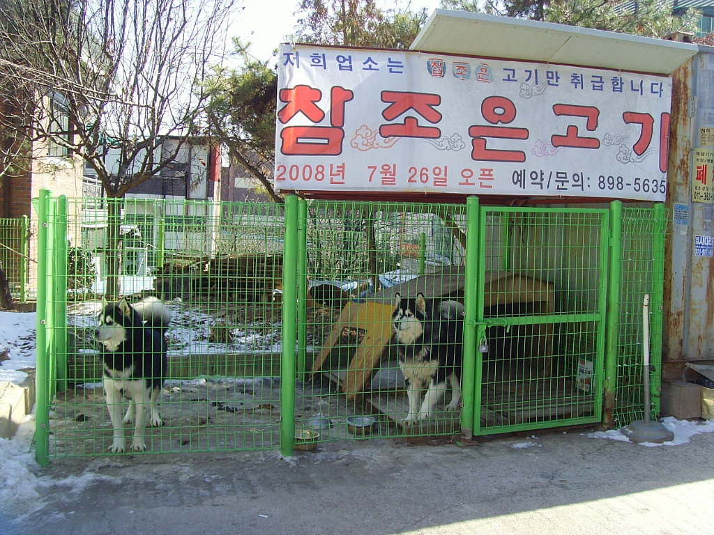 참좋은고기 이미지