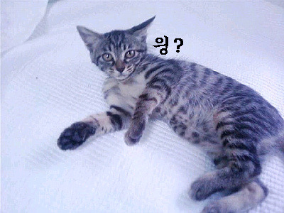 우리사 이미지