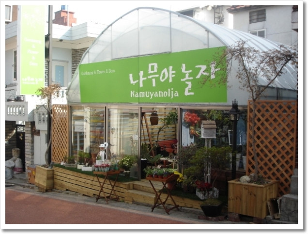 나무야놀자 이미지