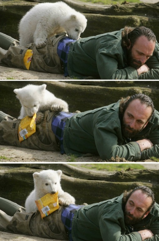 자살한 곰 .jpg | 인스티즈