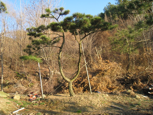 지리산농장 이미지