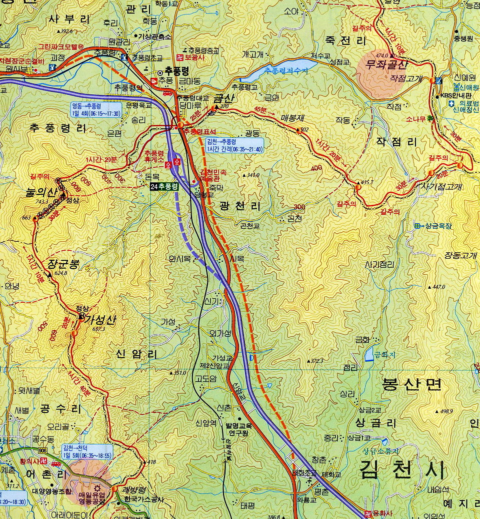 백두표고 이미지
