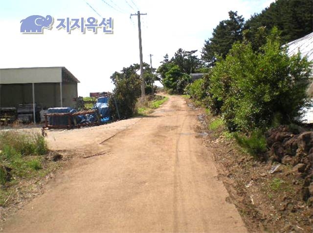 삼양검문소 이미지