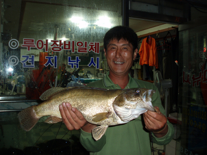 신월주유소 이미지