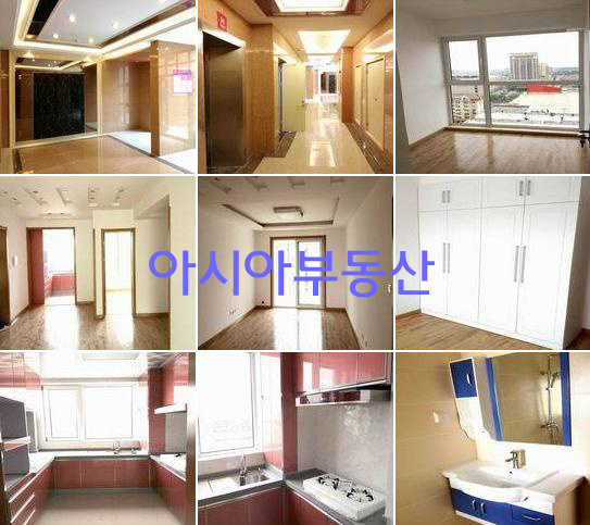 성광장식 이미지