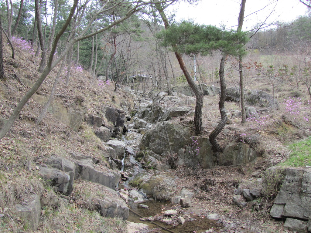 도래샘 이미지