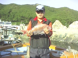 오비도낚시 이미지