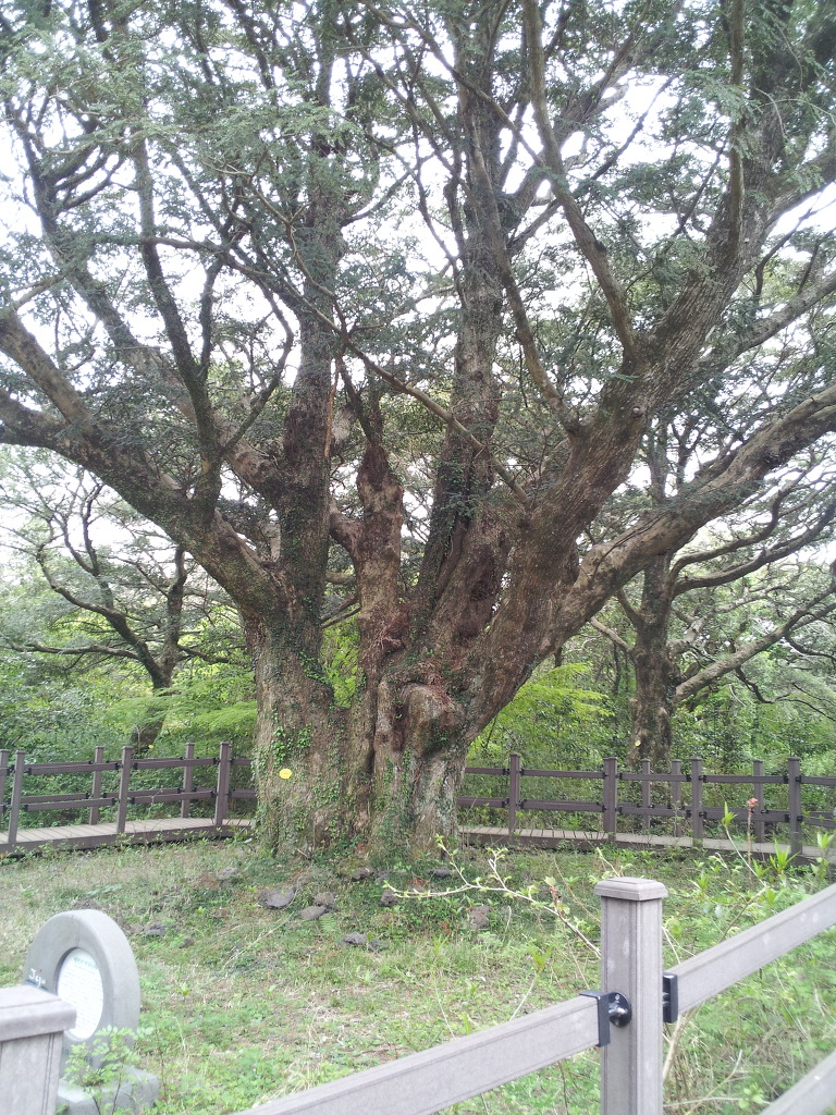 용눈이펜션 이미지