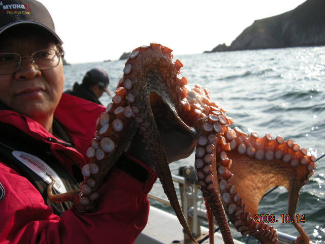 서해피싱호 이미지