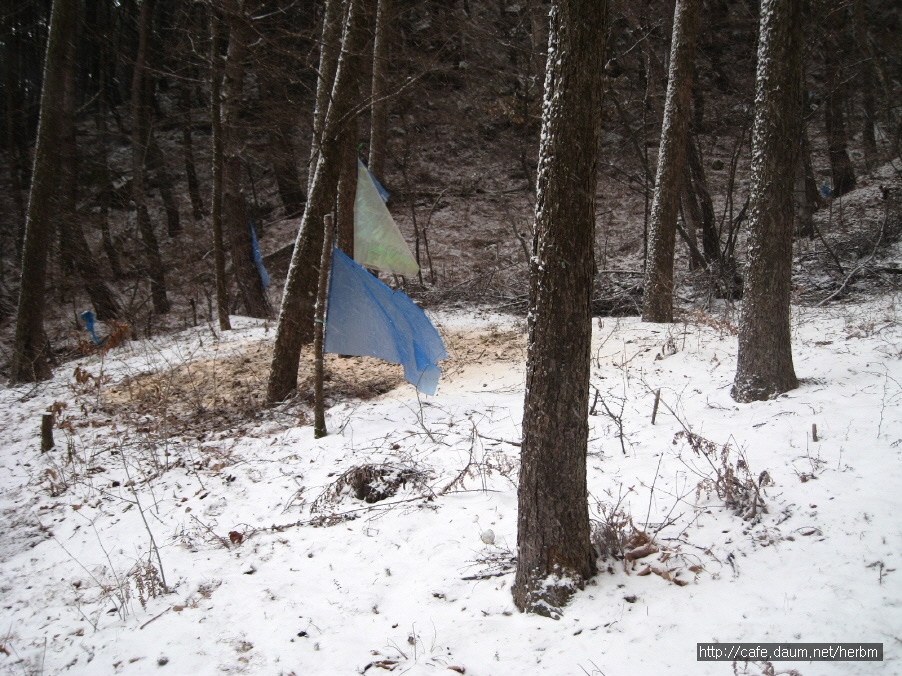 지리산농원 이미지