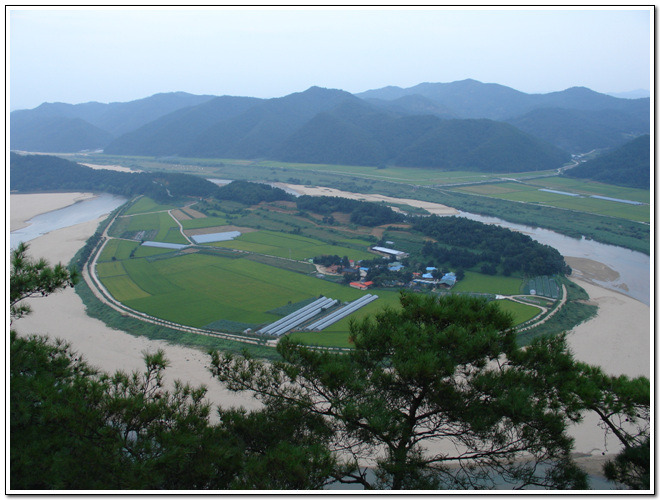 단골주막 이미지